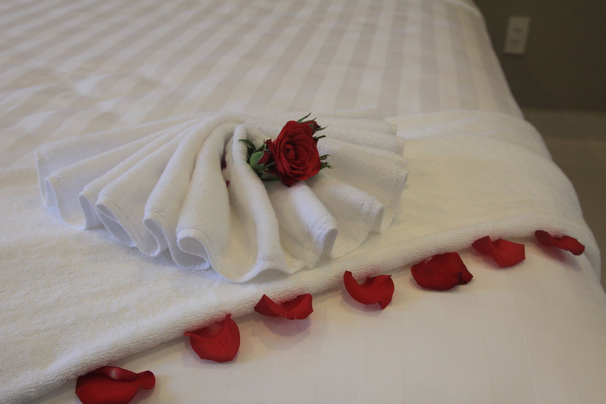 Vanda Hotel Phu Quoc Luaran gambar